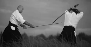 Aikodonun felsefesi nedir? - Görsel 1