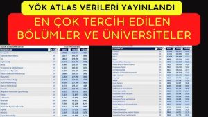 En Çok Tercih Edilen Flama Çeşitleri ve Kullanım Alanları Nelerdir? - Kapak Görseli