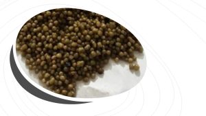 Granito Gübre Nedir ve Bitkiler İçin Faydaları Nelerdir? - Kapak Görseli