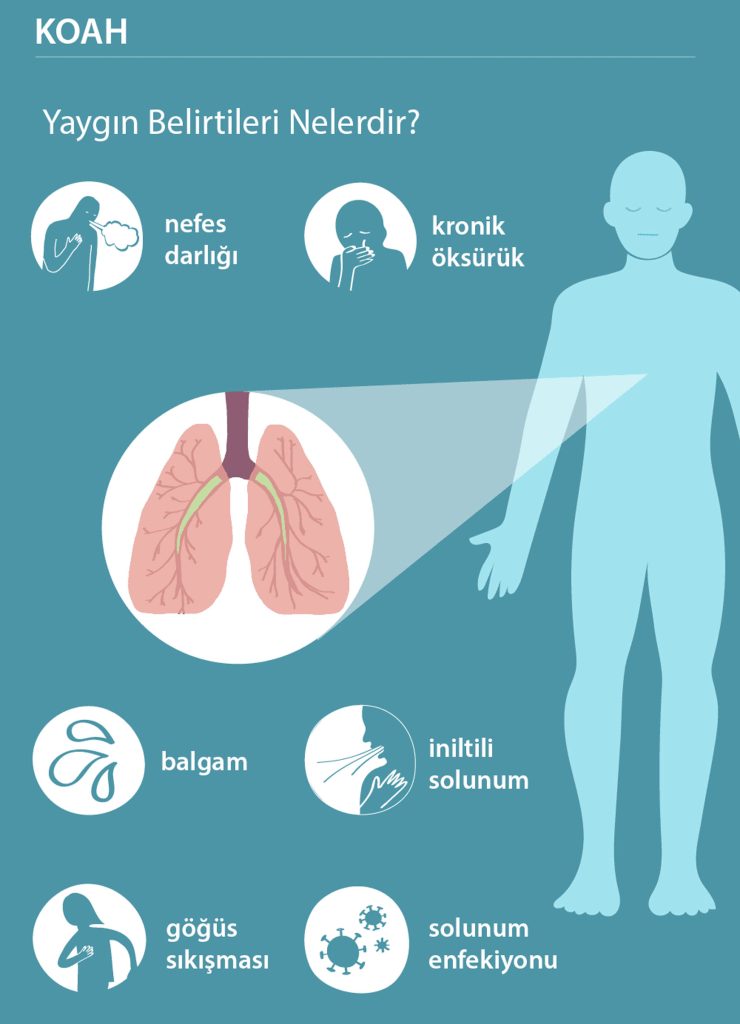 KOAH Hastalığının Belirtileri Nelerdir? Kısaca ve Anlaşılır Açıklama - Kapak Görseli
