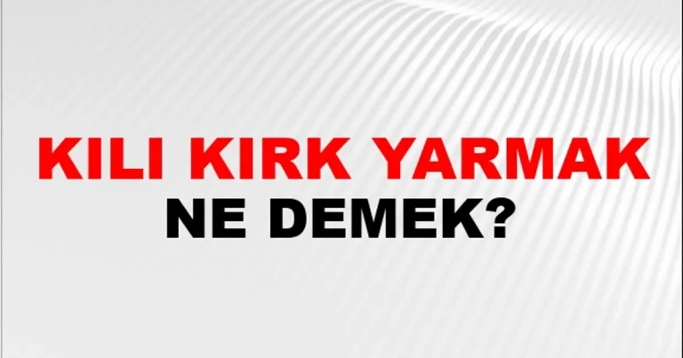 Kılı Kırk Yarmak Deyimi Nedir ve Hangi Durumlarda Kullanılır? - Kapak Görseli
