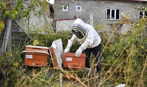 Kovancı ile Kayseri Arası Otobüs Yolculuğu Kaç Saat Sürer? - Kapak Görseli