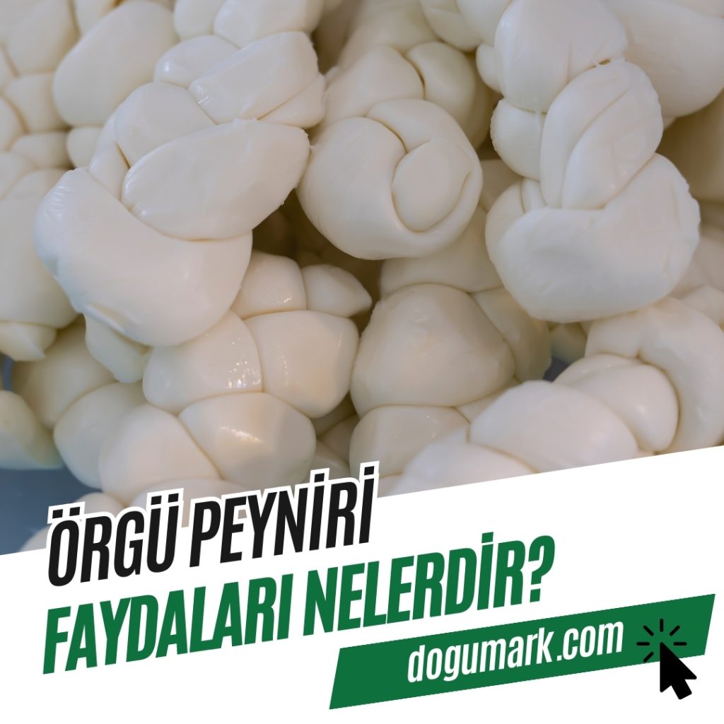 Örgü Peynirinin Sağlığa Faydaları ve Bilmeniz Gerekenler - Kapak Görseli