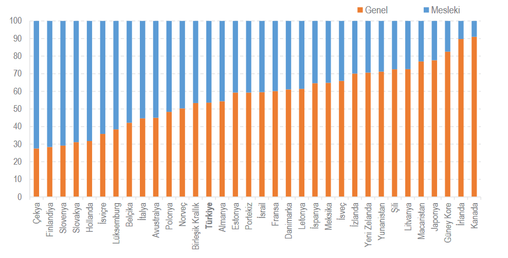 Türkiye’de Mesleki Eğitimde Yatay Beceri Uyumsuzluğu Nedir ve Neden Önemlidir? - Kapak Görseli