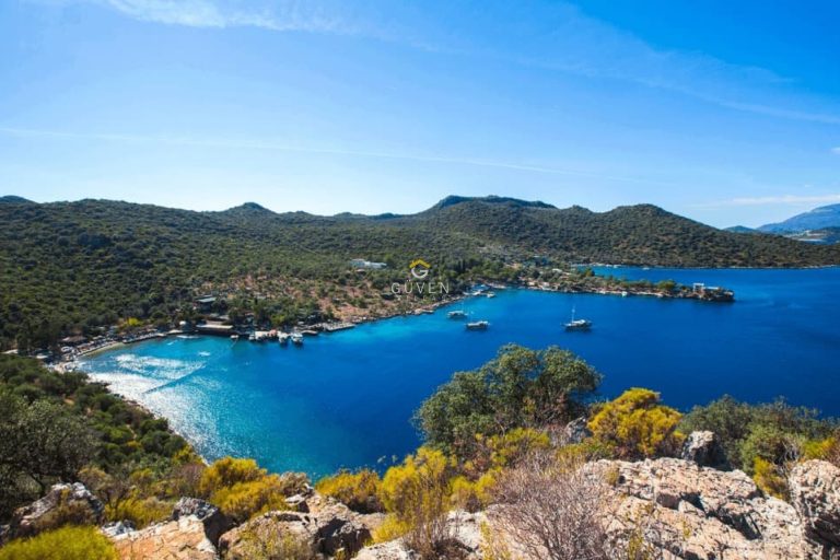 Üzümlü’de Hangi Pozlar Üretiliyor? Merak Edilenler ve Detaylar - Kapak Görseli