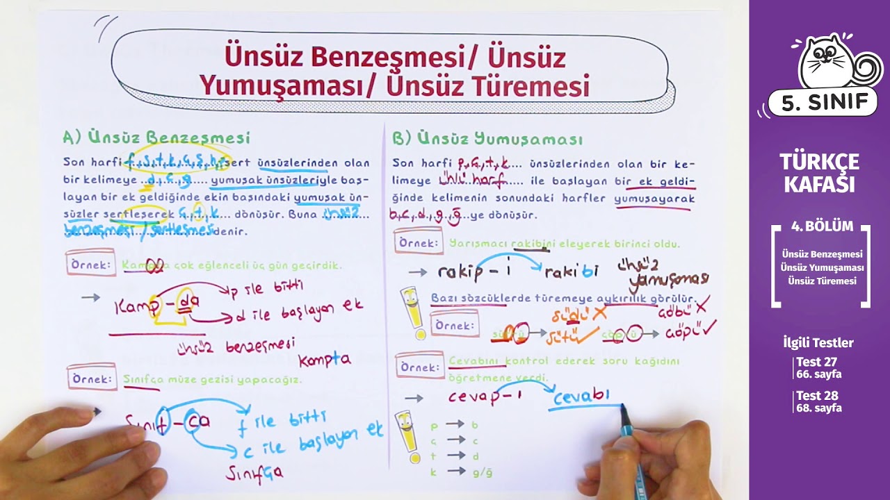 Yumuşamaya Neden Olan Olaylar Nelerdir? Merak Edilenler Burada! - Kapak Görseli
