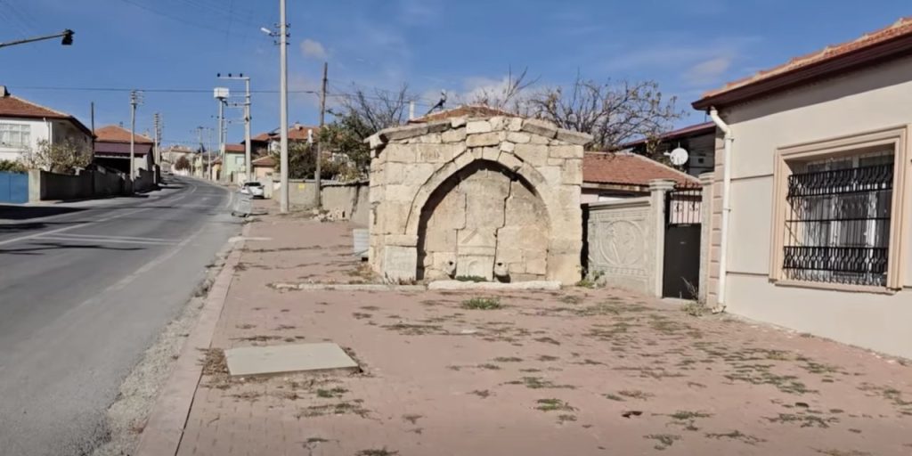 Yunak Neden Önemlidir? Bilmeniz Gerekenler - Kapak Görseli