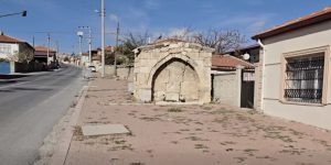 Yunak Neden Önemlidir? Bilmeniz Gerekenler - Kapak Görseli