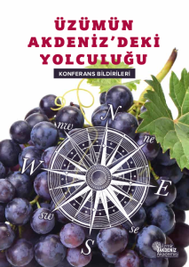 Yunanistan’da Üzüm Yetiştiriciliği Mümkün Mü? Merak Edilenler - Kapak Görseli