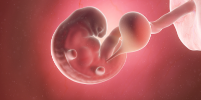 6 Haftalık Gebelikte Halsizliğin Kanıtlanmış Nedenleri ve Çözümleri [2026] - Kapak Görseli