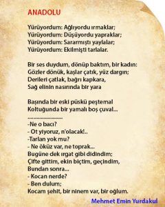 Anadolu Şiirinin Yazılma Sebepleri ve Derin Anlamları (2025) - Kapak Görseli