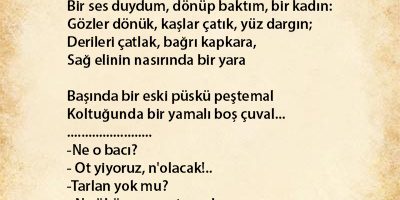 Anadolu Şiirinin Yazılma Sebepleri ve Derin Anlamları (2025) - Kapak Görseli