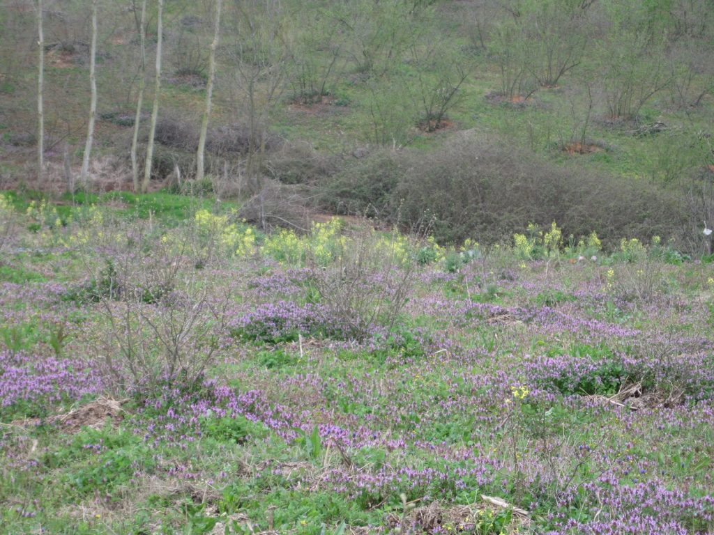 FilimBol neden kapandı? Kapanışın ardındaki gerçek nedenler neler? - Kapak Görseli