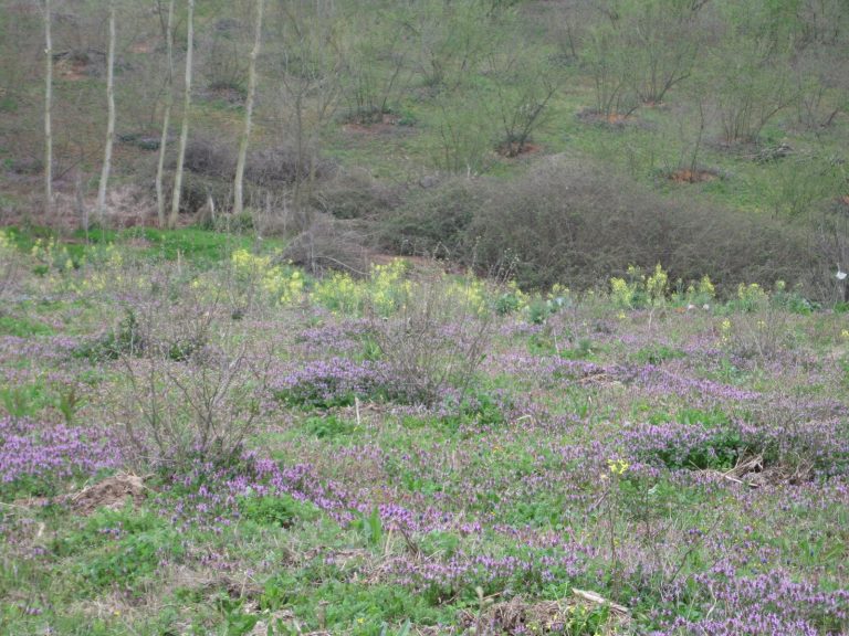 FilimBol neden kapandı? Kapanışın ardındaki gerçek nedenler neler? - Kapak Görseli