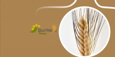 Karakılçığın Kanıtlanmış Faydaları ve Sağlığa Etkileri [2026] - Kapak Görseli