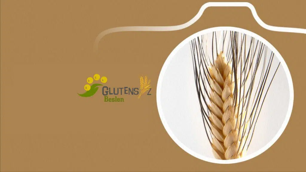 Karakılçığın Kanıtlanmış Faydaları ve Sağlığa Etkileri [2026] - Kapak Görseli