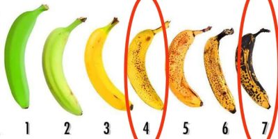 Muz Seçiminde Doğru Tercih: Kahverengi mi Sarı mı? (Kanıtlı İpuçları) - Kapak Görseli