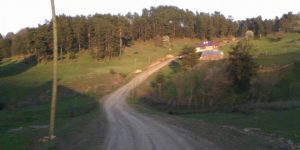 Niksar Çatak Köyü Hangi İlçe ve İl'e Bağlıdır? Merak Edilenler! - Kapak Görseli