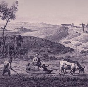 Tımarda Toprak İşletmenin Doğru Yolları ve Uygulama İpuçları - Kapak Görseli