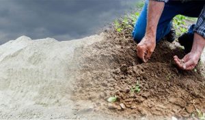 Toprağın Belenmesi Verimi Gerçekten Artırır mı? İşte Bilmeniz Gerekenler - Kapak Görseli
