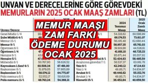 Zam Farklarında 14 ve 15 Gün Arasındaki Kritik Farklar [Uzman Rehber 2026] - Kapak Görseli