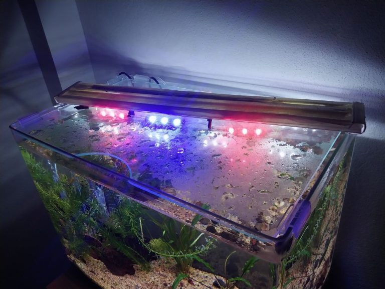 Akvaryum Cam Kapağı Yapımında Uzman Tüyolar [2026 Rehberi] - Kapak Görseli