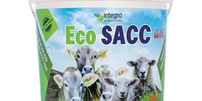 Ecos İçeriğinin Kanıtlanmış Anlamı ve Faydaları [2026] - Kapak Görseli