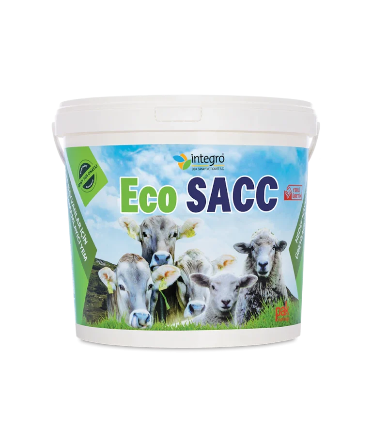 Ecos İçeriğinin Kanıtlanmış Anlamı ve Faydaları [2026] - Kapak Görseli