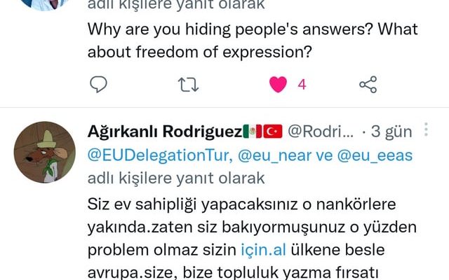 Tıvıtır Türk Sahipliği ve Yönetiminde Bilmeniz Gerekenler [2026] - Kapak Görseli