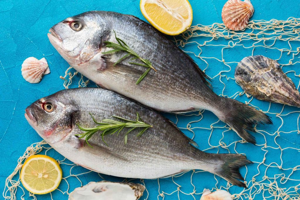 Balığın En Çok Fayda Sağladığı Organlar ve Sağlık Etkileri [Uzman Rehber] - Kapak Görseli