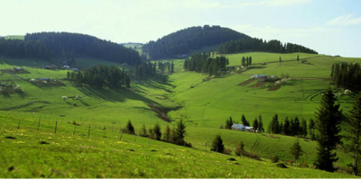 Giresun’un En Yüksek Yaylası ve Keşfedilmesi Gereken Özellikleri [2026] - Kapak Görseli