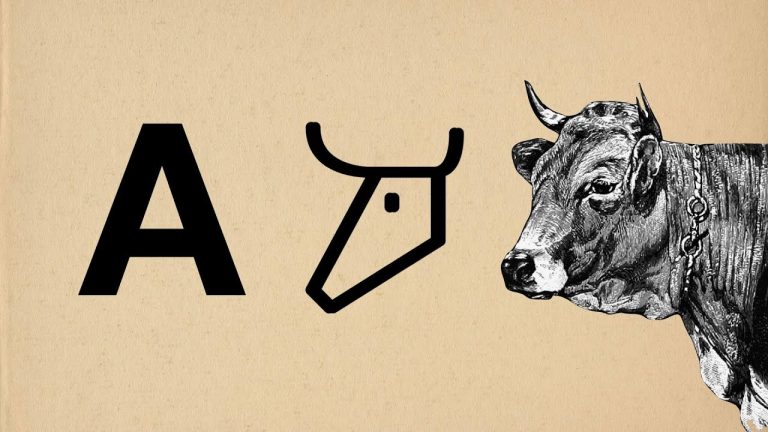 Harfin Kökeni ve Evrimi Hakkında Kanıtlanmış Gerçekler [2026] - Kapak Görseli