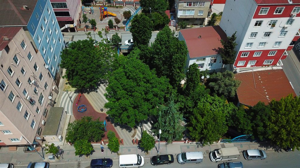 Küçükçekmece Atatürk Mahallesi Bina Sayısı ve Güncel Veriler [2026] - Kapak Görseli