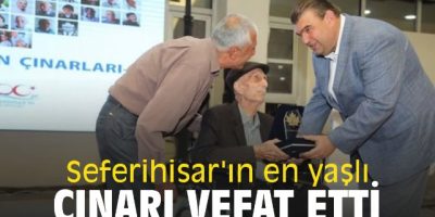 Seferihisar’ın En Yaşlı Ağacının Kanıtlanmış Yaşı [2026 Güncellemesi] - Kapak Görseli