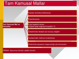 Tam Kamusal Malların Kritik Özellikleri ve Etkileri [Uzman Rehber 2026] - Kapak Görseli