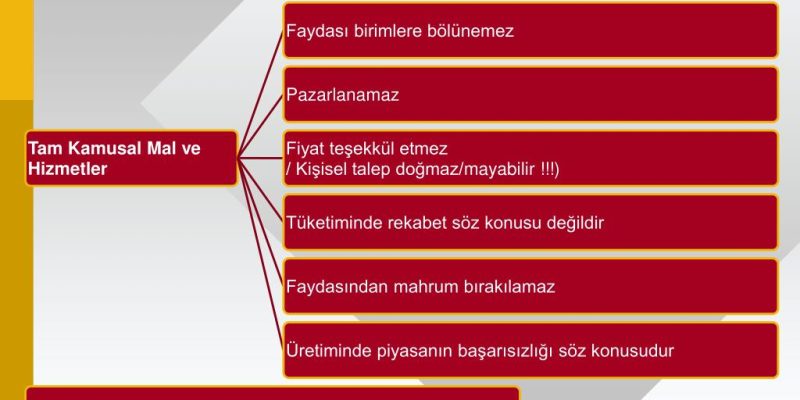 Tam Kamusal Malların Kritik Özellikleri ve Etkileri [Uzman Rehber 2026] - Kapak Görseli