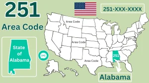 251 Alan Kodu Hakkında Kesin Bilgiler ve Bölge Rehberi [2026] - Kapak Görseli