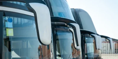 Bus dayamanın Bilmeniz Gereken Kanıtlanmış Faydaları [2026] - Kapak Görseli