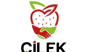 Çilek Vize Hizmetlerinde Kanıtlanmış Güvenilirlik [2026 Rehberi] - Kapak Görseli