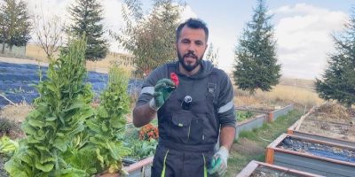 Çorak Toprakların Sırrı ve Etkisi: Yüzüklerin Efendisi [Uzman Analizi 2026] - Kapak Görseli