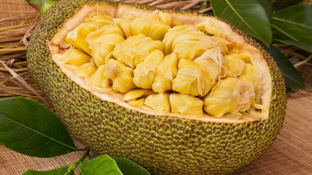 Jack Meyvesinin Kanıtlanmış Faydaları ve Dikkat Edilmesi Gereken Zararları [2026] - Kapak Görseli