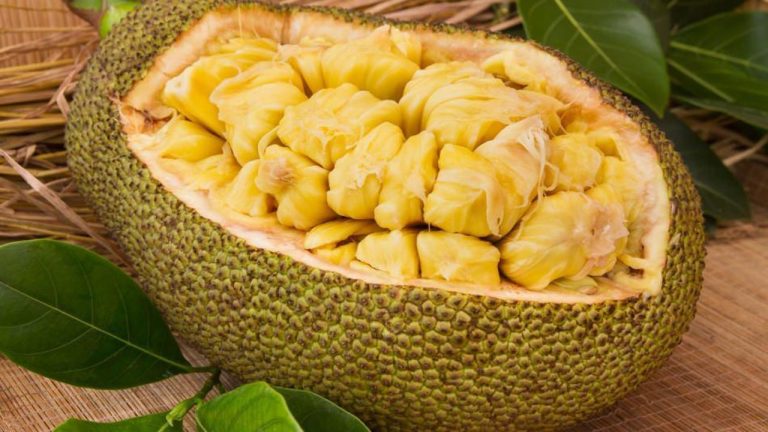 Jack Meyvesinin Kanıtlanmış Faydaları ve Dikkat Edilmesi Gereken Zararları [2026] - Kapak Görseli