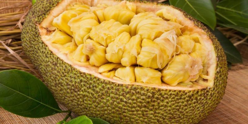 Jack Meyvesinin Kanıtlanmış Faydaları ve Dikkat Edilmesi Gereken Zararları [2026] - Kapak Görseli