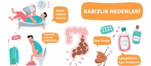 Kabızlığa Neden Olan Meyveler ve Kesin Çözüm Yöntemleri [2026] - Kapak Görseli