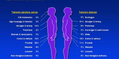 Kanser Türü ve Ölüm Nedeni: Kesin Bilgiler [2026 Güncellemesi] - Kapak Görseli