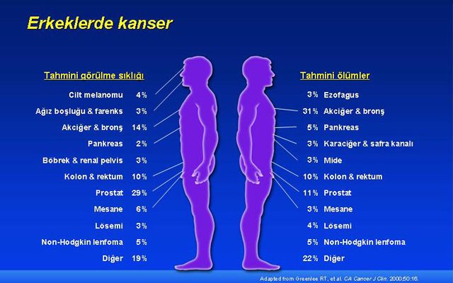 Kanser Türü ve Ölüm Nedeni: Kesin Bilgiler [2026 Güncellemesi] - Kapak Görseli