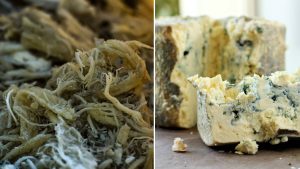 Küflü Peynir Seçiminde Yabancıların Tercih Ettiği Lezzetler [2026] - Kapak Görseli