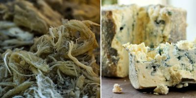 Küflü Peynir Seçiminde Yabancıların Tercih Ettiği Lezzetler [2026] - Kapak Görseli