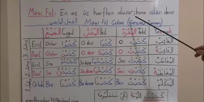 Mazi, Müzari ve Emir Fiilin Özellikleri ve Kullanım Püf Noktaları [2026] - Kapak Görseli
