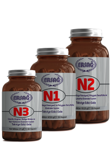 N1 N2 N3 Psikolojisi: Kanıtlanmış Temel Kavramlar [2026 Rehberi] - Kapak Görseli